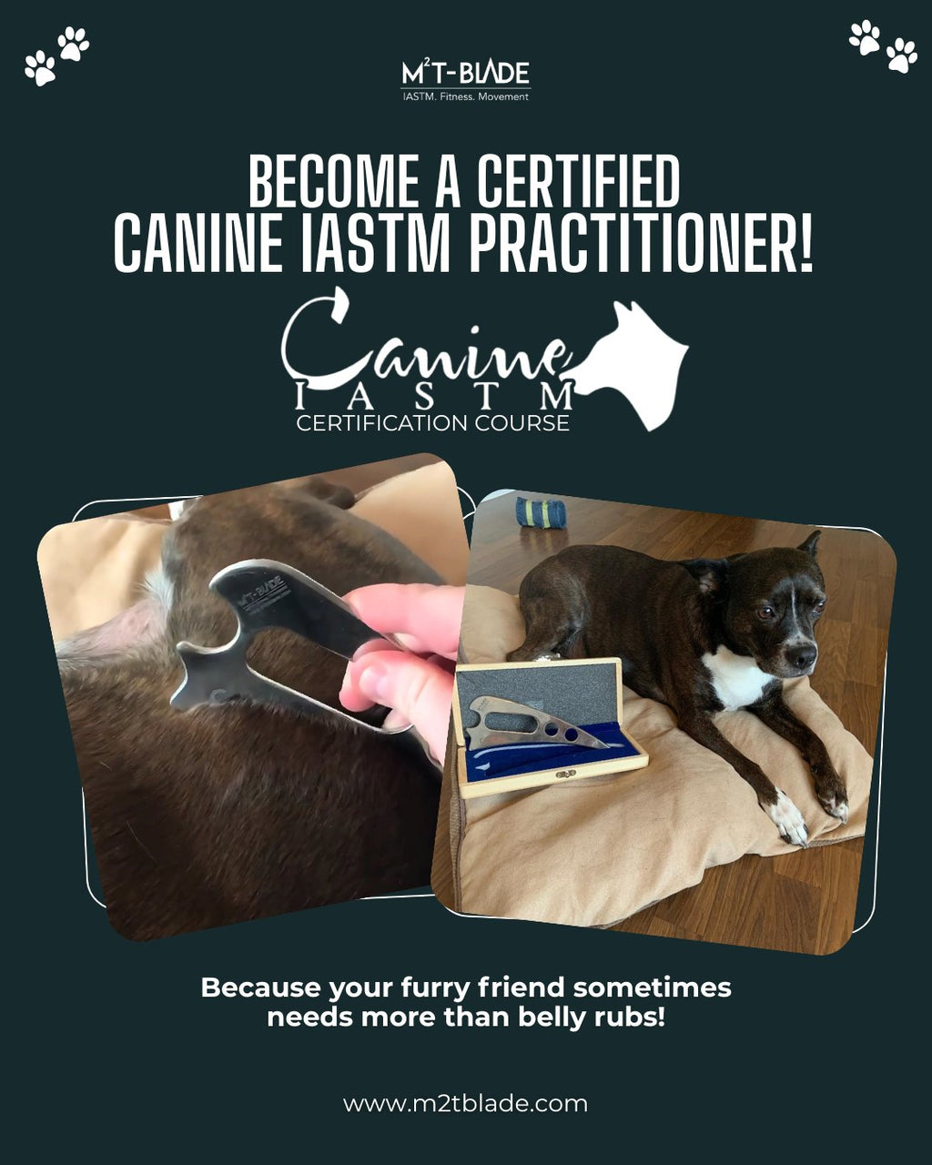 Canine IASTM Online Certification Course