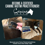 Canine IASTM Online Certification Course