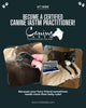Canine IASTM Online Certification Course